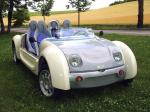 Acrea Zest 4-Seater 2010 года